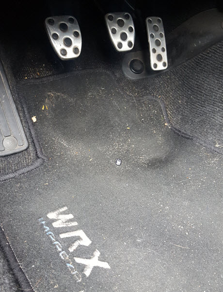 naaldvilt automat in auto