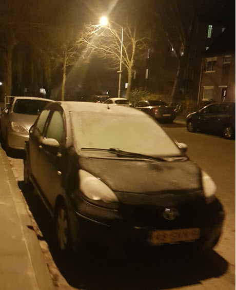 ruiten krabben in de ochtend