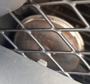 meertonige-luchthoorn