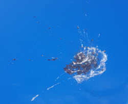 auto kleur autokleur autokleuren