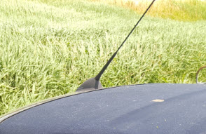 sharkfin antenne spoiler