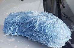 autoverzorging autowasspons