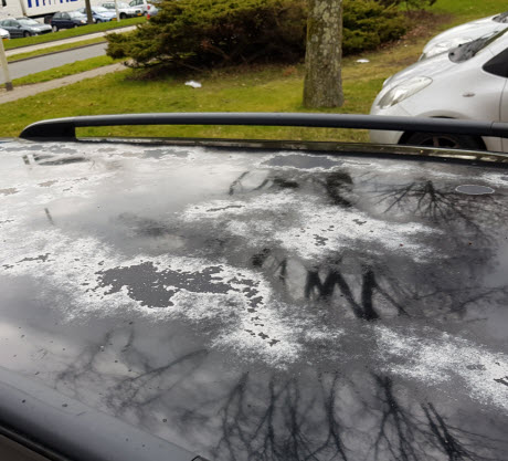 hars op auto verwijderen