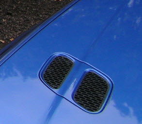 Universele motorkap roosters