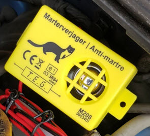 steenmarter uit de auto halen