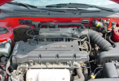 steenmarter kauwt op kabels auto