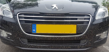 vliegen verwijderen auto