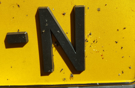 vliegen verwijderen van kenteken